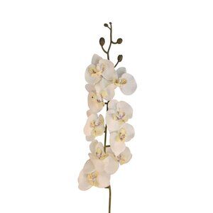 Artificial Phalaenopsis Orchid Stem White Tropical Flower Décor